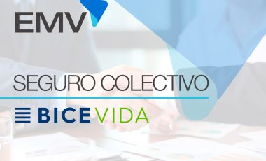 Seguro Colectivo EMVSA – BICE Vida